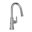 Trattoria Kitchen Faucet